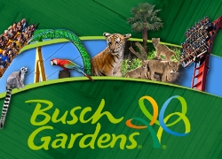8th grade trip to Busch Gardens tomorrow (5/17)
